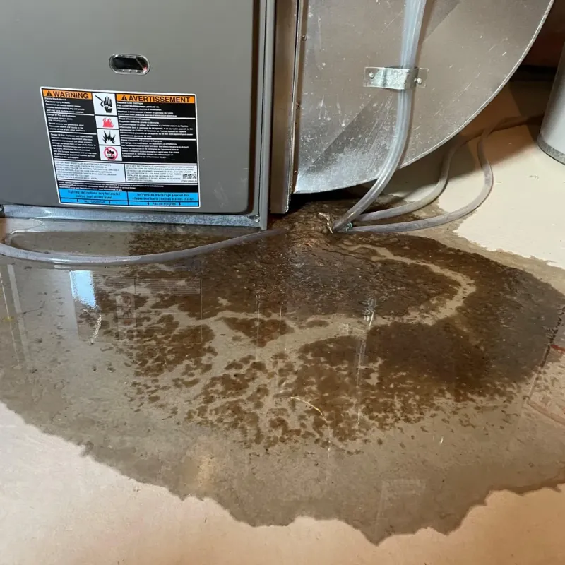 Appliance Leak Cleanup in Churchill, OH